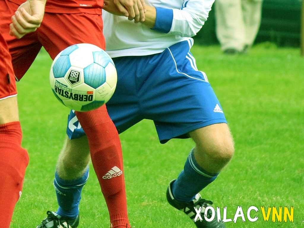 thong-tin-lien-he-xoilacvnn-tv