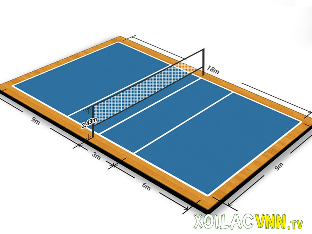 san-bong-chuyen-chuan