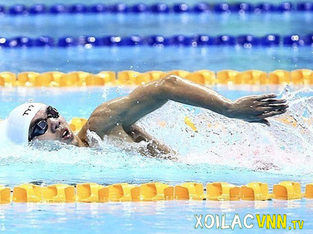 Bơi lội: Khái niệm, lợi ích, tác hại và các VĐV hàng đầu Việt Nam