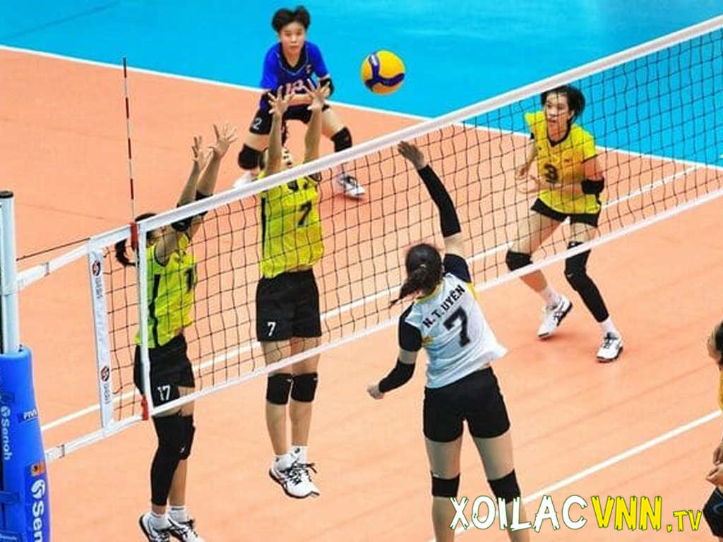 Luật trong thể thao: Từ bóng chuyền, cờ vua đến đá cầu