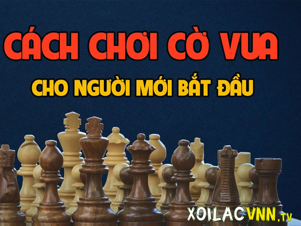 cach-choi-co-vua