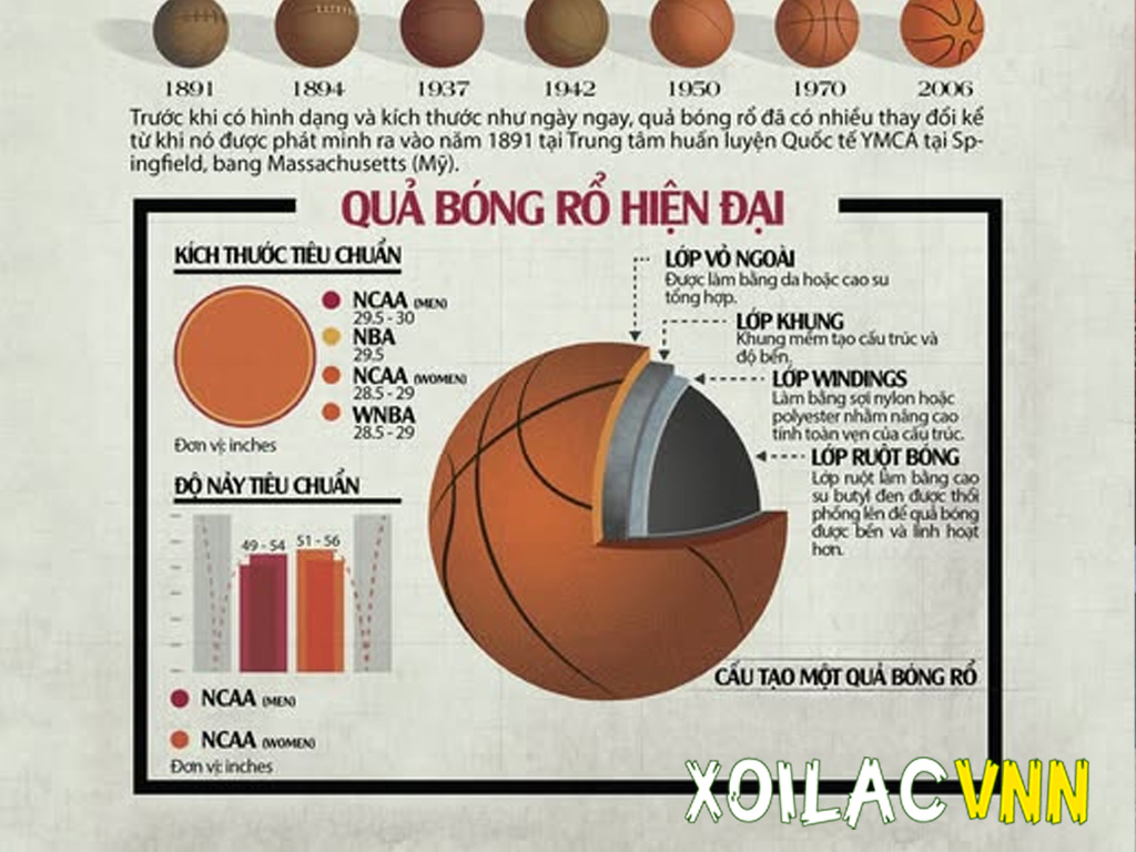 cau-tao-cua-trai-bong-ro