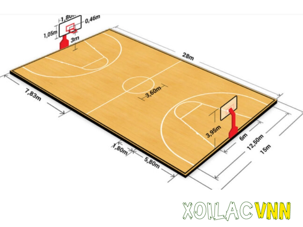 Kích thước sân bóng rổ: Chuẩn FIBA, NBA mọi điều bạn cần biết